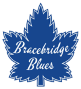 Bracebridge Blues 2014-Pres Primary Logo iron on transfers for T-shirts
